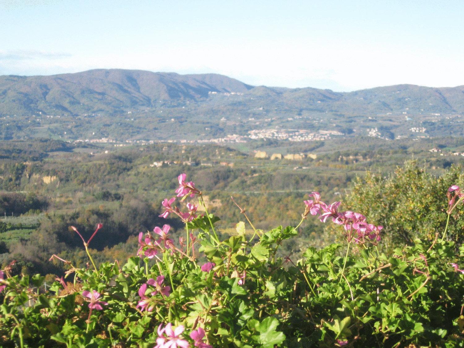 Agriturismo La Capitata Pian di Scò Εξωτερικό φωτογραφία