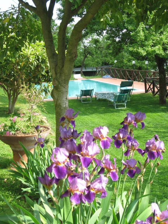 Agriturismo La Capitata Pian di Scò Εξωτερικό φωτογραφία